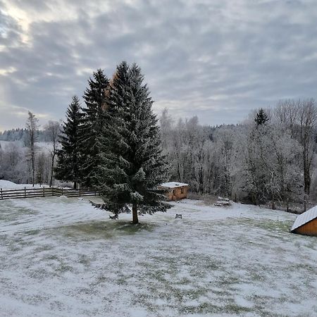 Penzion Dobik Pasecna Přední Výtoň Exterior foto