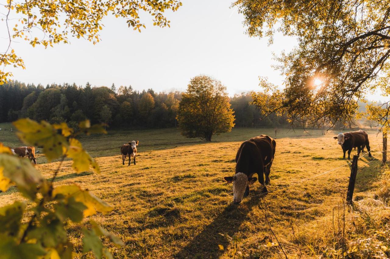 Penzion Dobik Pasecna Přední Výtoň Exterior foto